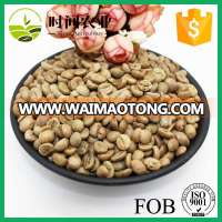 Sale screen 18 Vietnam robusta green coffee beans